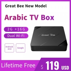 2024 New Model Great Bee Arabic TV Box Lifetime Free Android 10 4K 2G 16G Set Top Box